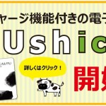 Ushica 電子マネーカード