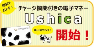 Ushica 電子マネーカード