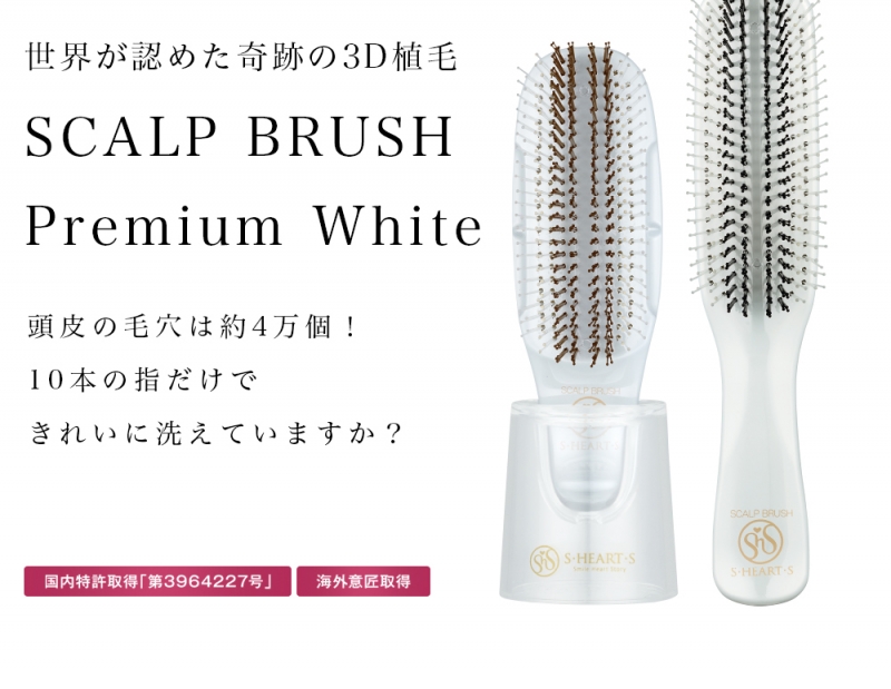 scalp_brush_pb01