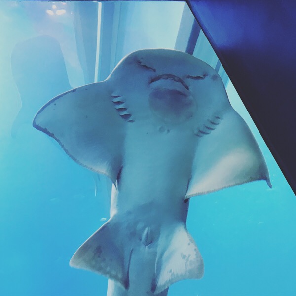 wpid-20180311080033.jpg