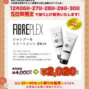 【5日間限定】お年賀にぜひ！