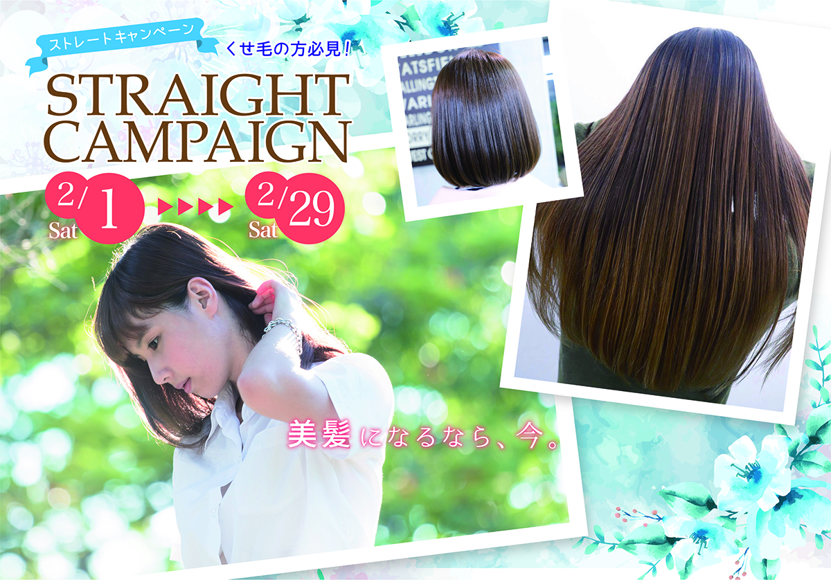 ストレートキャンペーン