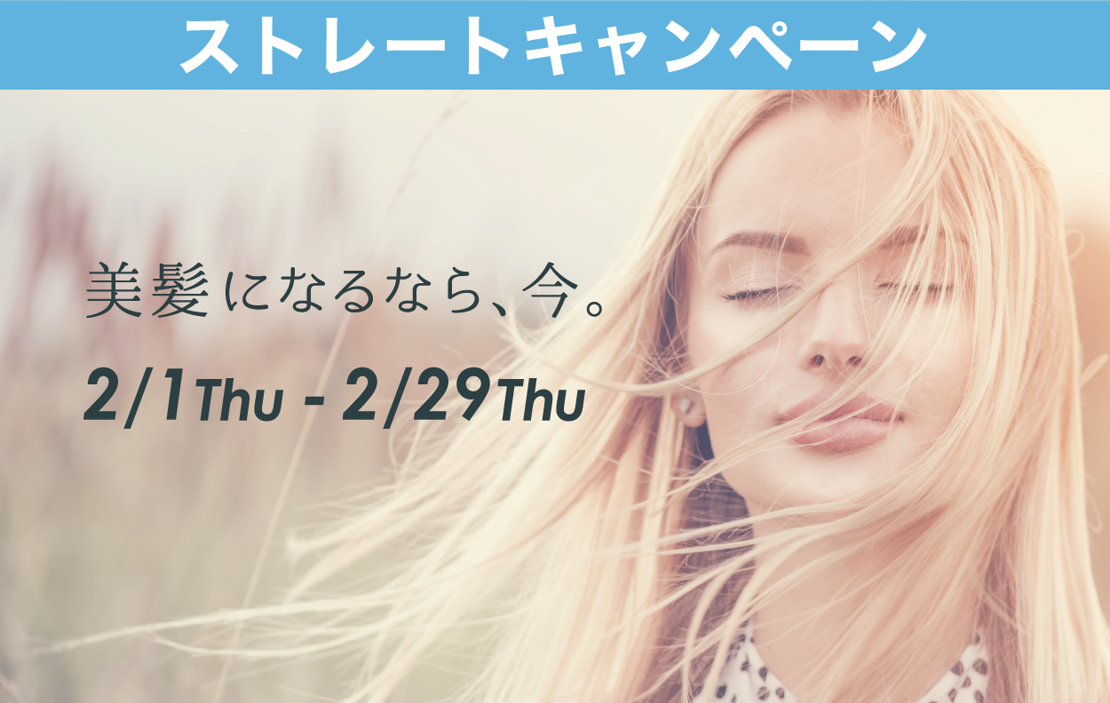 【2月】ストレートキャンペーン