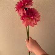春の前に、、